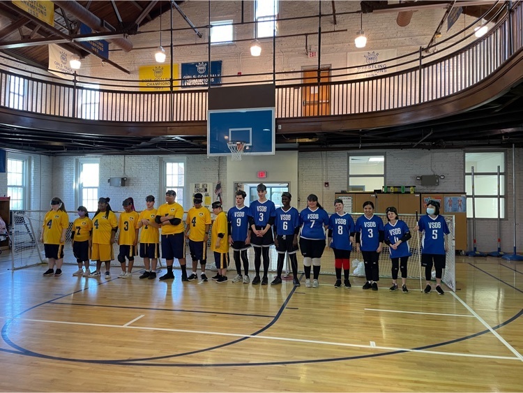 vsdb and nc Goalball teams standing in front of the goal
