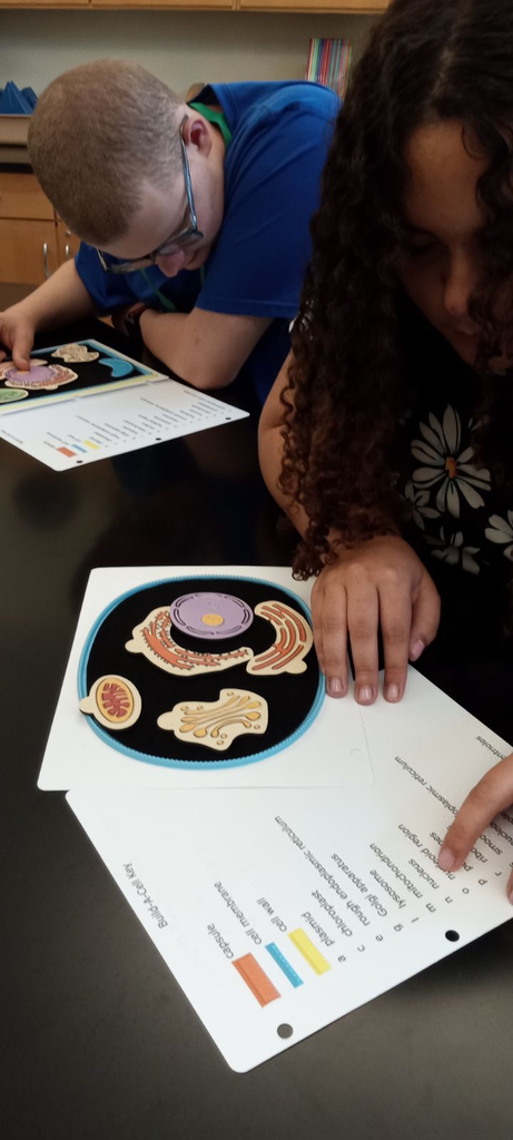 two students use raised diagrams of a cell to “build a cell"
