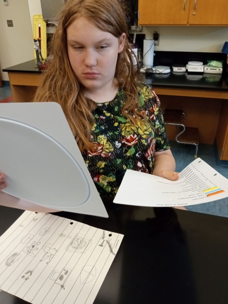 one student looks at the cell diagram as she works on the build a cell activity 