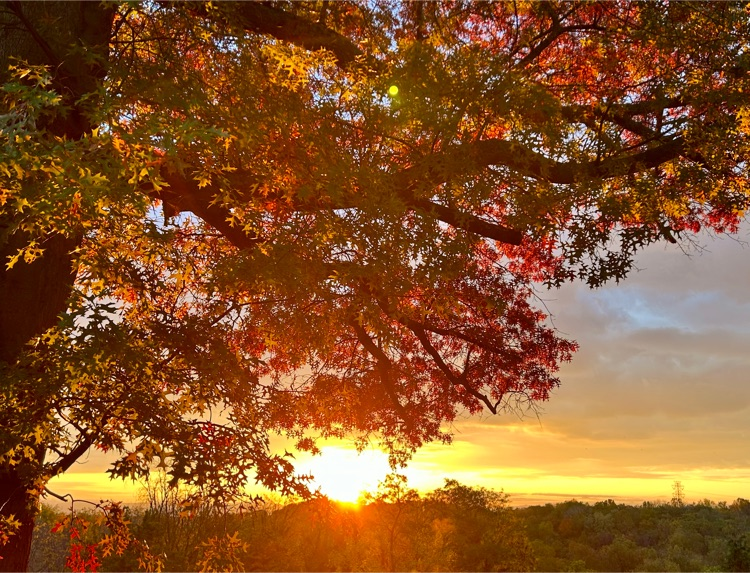 fall sunrise behind fall colored tree branches and overlooking the mountain with trees of various colors